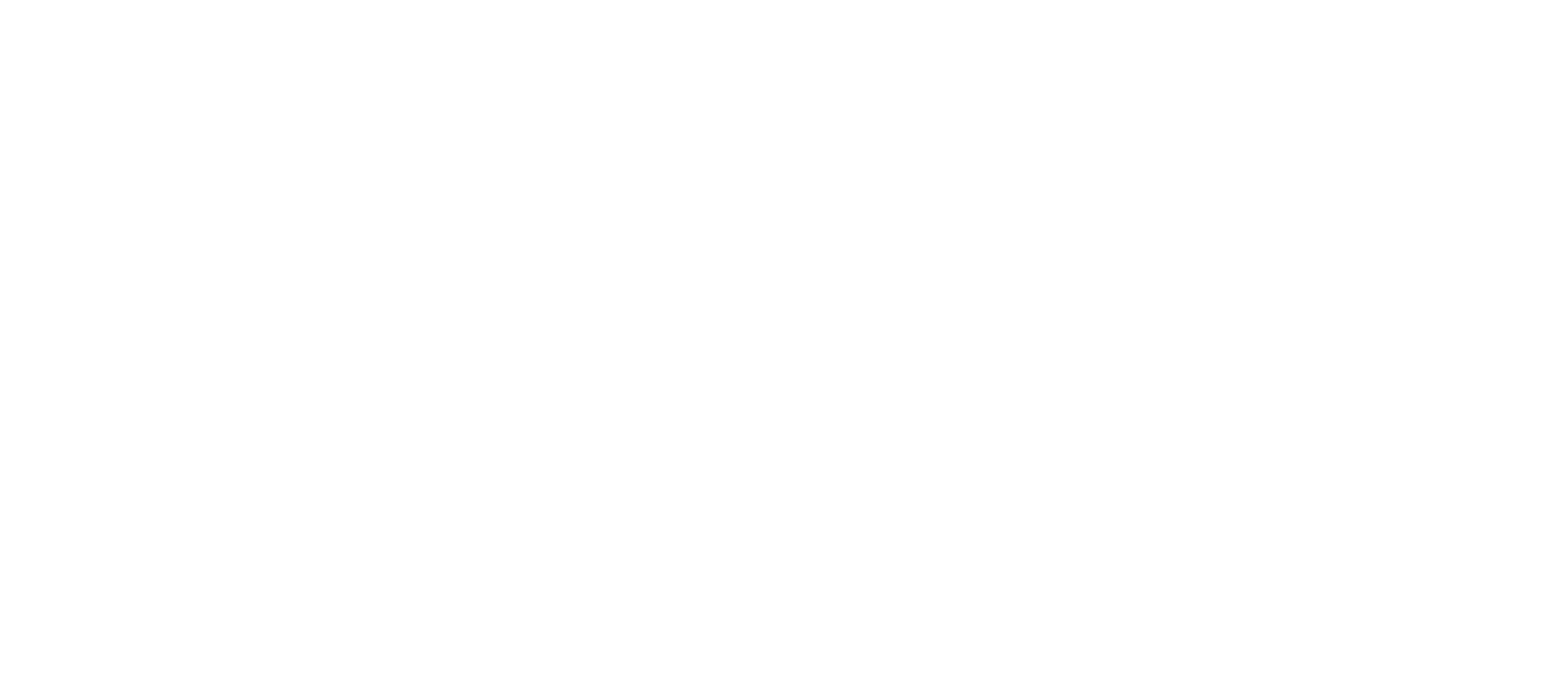 logo chrono diali